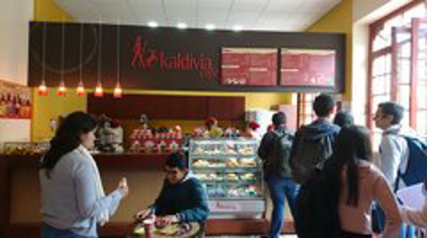 Franquicia Kaldivia Café