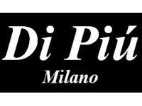 franquicia Di Piu Milano (Moda complementos)