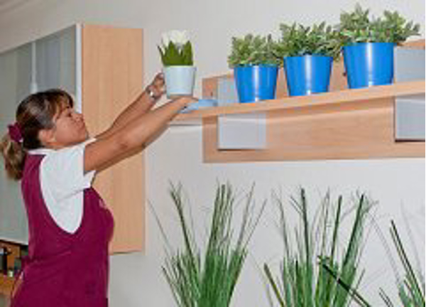 Franquicia Clean & Iron Service Franquicia Clean & Iron Service