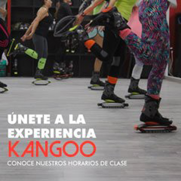 Franquicia Kangoo Club