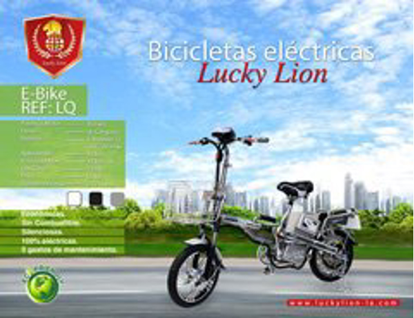 Franquicia Lucky Lion 