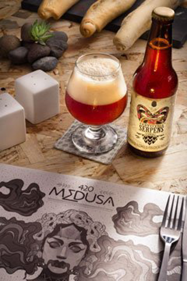 Franquicia Medusa Gastro Pub Franquicia Medusa Gastro Pub