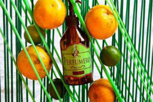 Franquicia El Perfumero Franquicia El Perfumero
