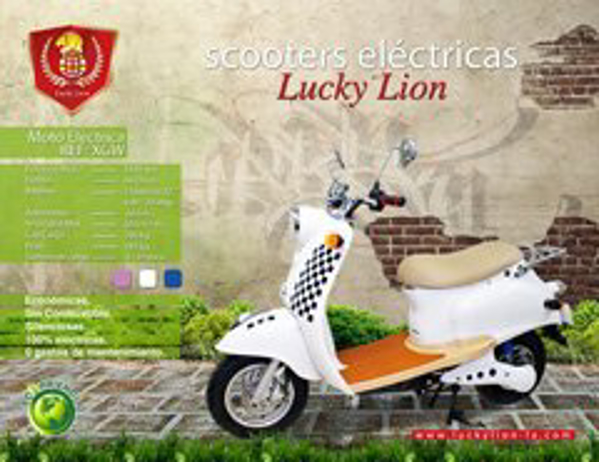 Franquicia Lucky Lion 