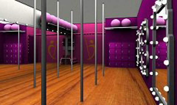 Franquicia Pole Fitness