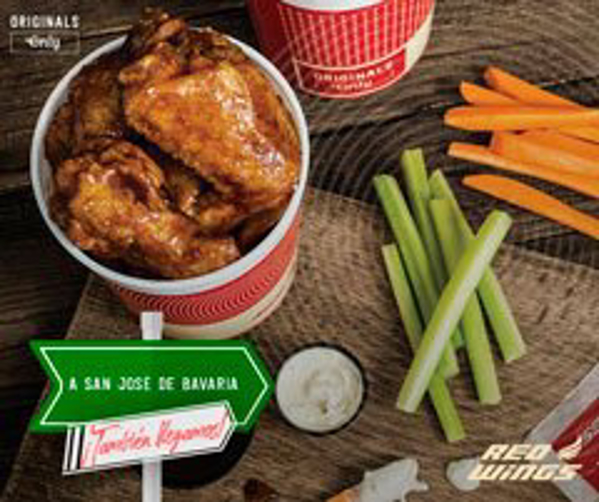 Franquicia Red Wings Franquicia Red Wings