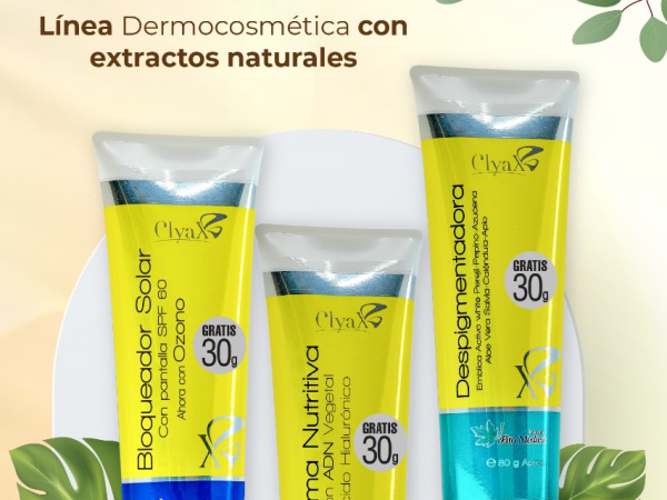 Sector cosmeticos y aseo en Colombia