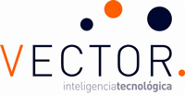 Vector ITC Group