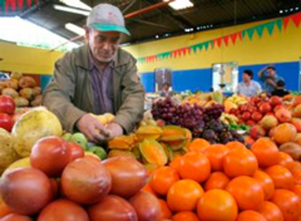 Colombia llena Fruit Logística 2013 de frutas y hiervas exóticas